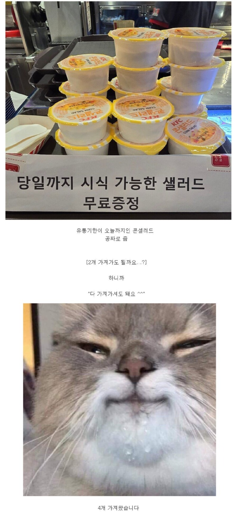 돼지들이 kfc를 좋아하는 이유