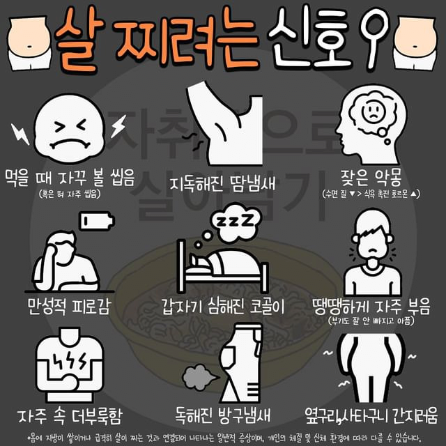 살 찌려는 신호