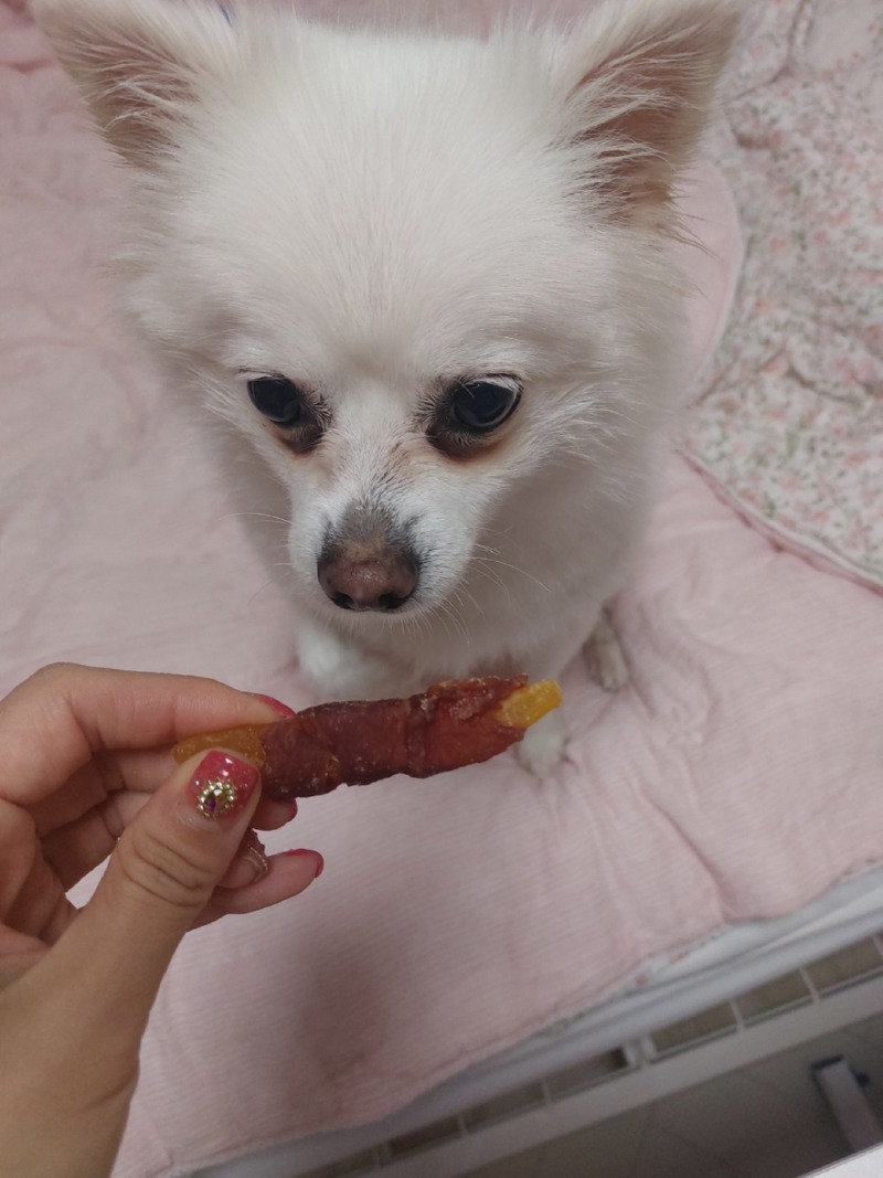 KakaoTalk_20241025_115704382_02.jpg