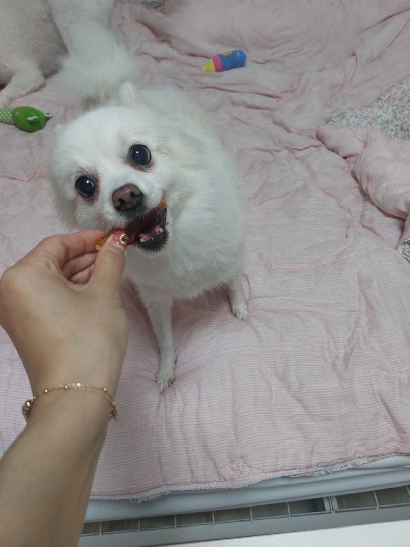 KakaoTalk_20241025_115704382.jpg