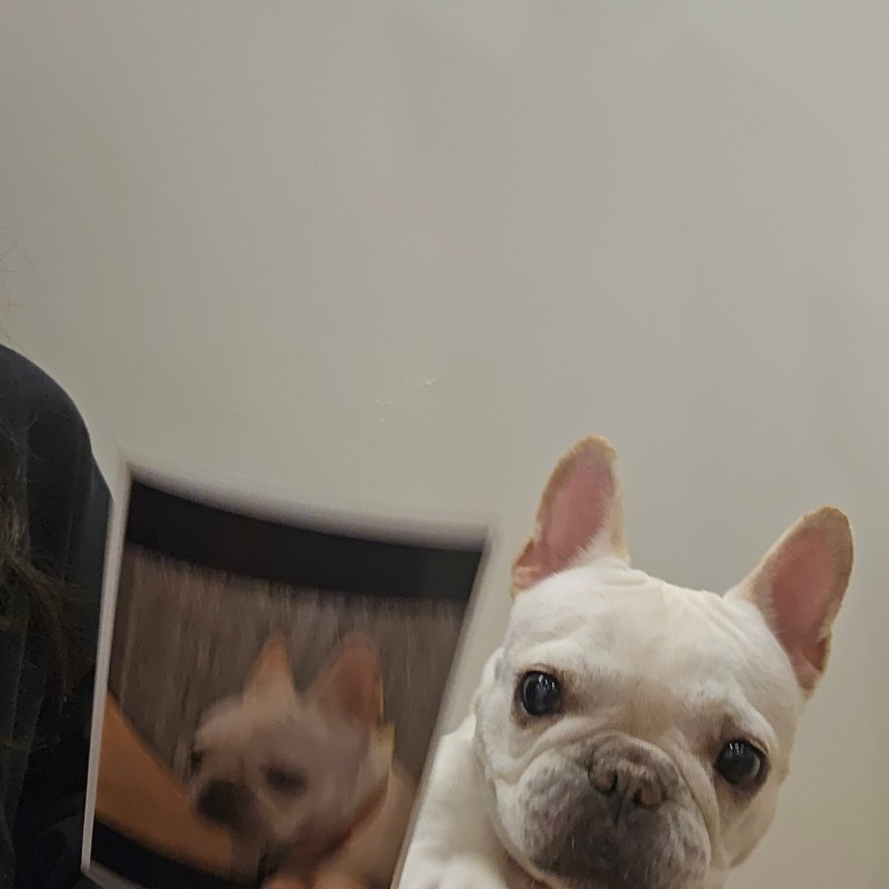 찐빵