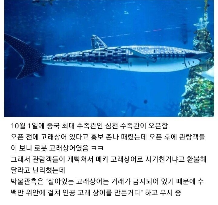 고래상어를 들여온 중국의 한 수족관