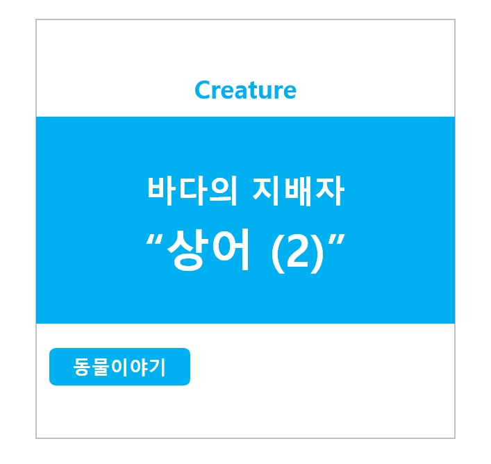 바다의 지배자 상어 (2)
