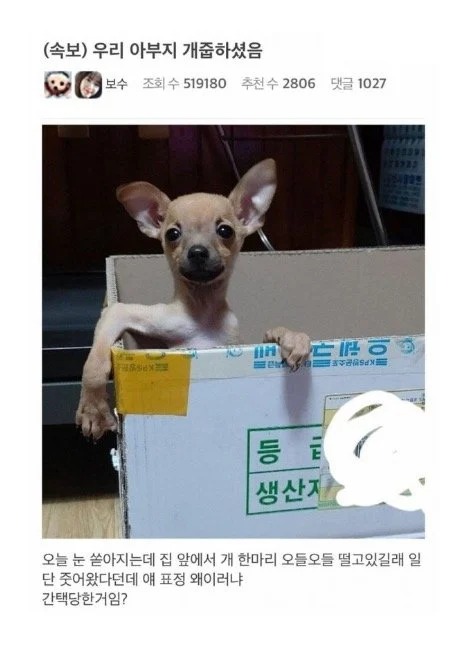 우리 아부지 어제 개줍하셨음! 