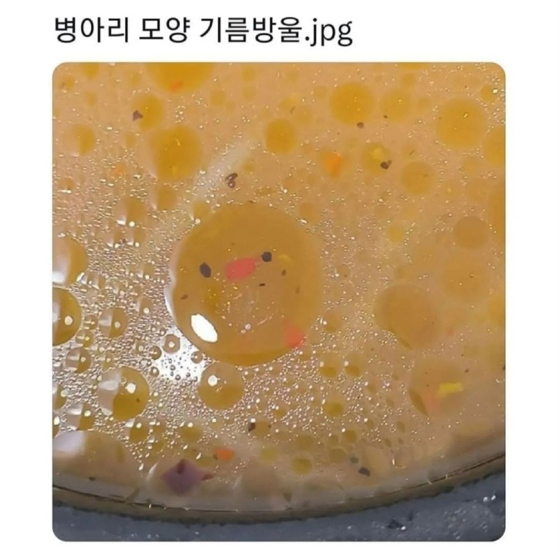 병아리 모양 기름방울 