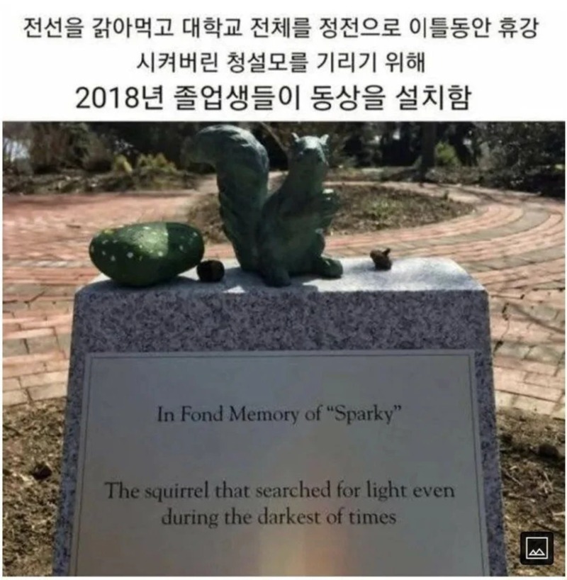 청설모를 위해 동상을 설치 한 학교