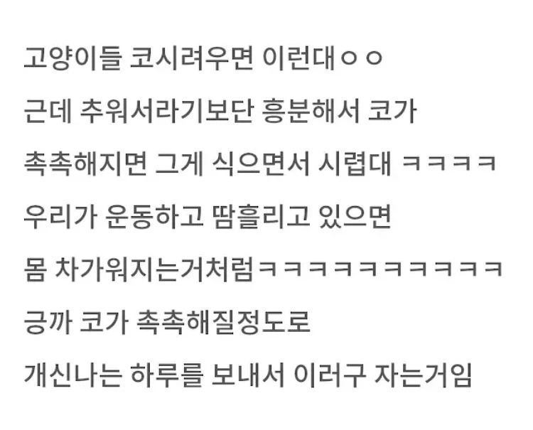 고양이들이 코 박고 자는 이유
