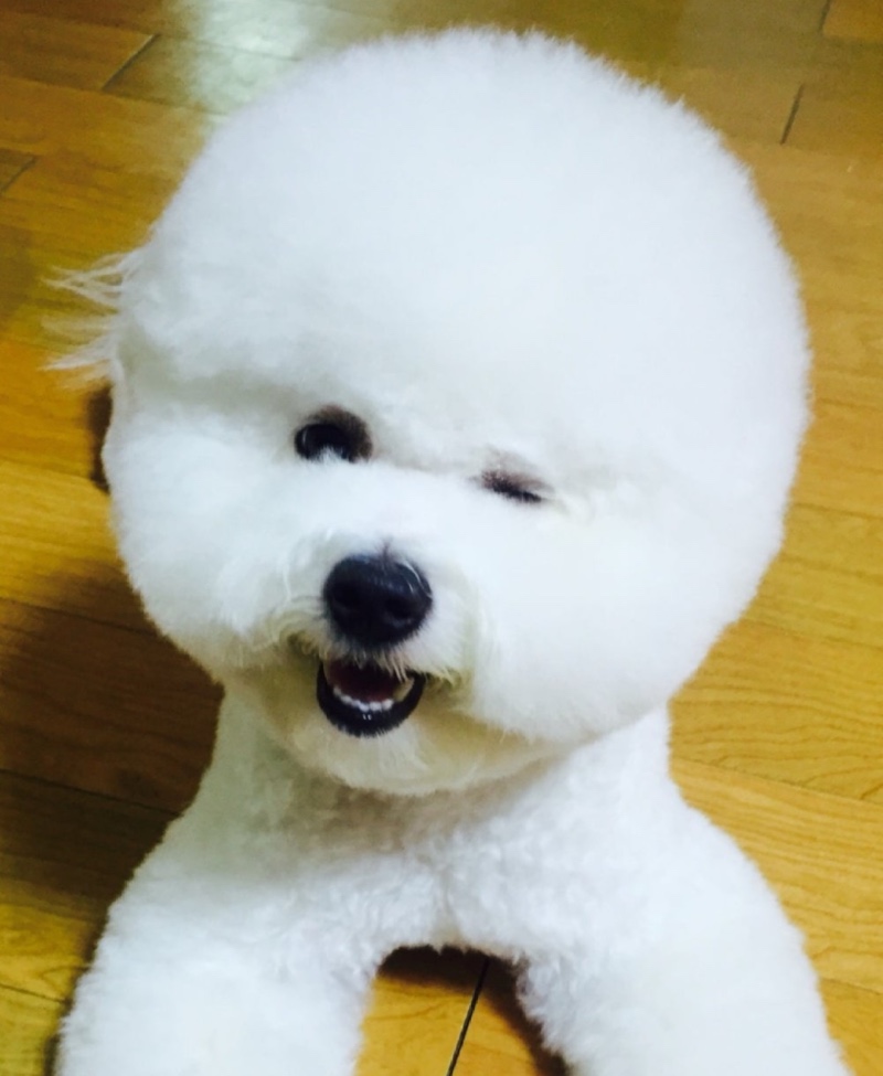 윙크 