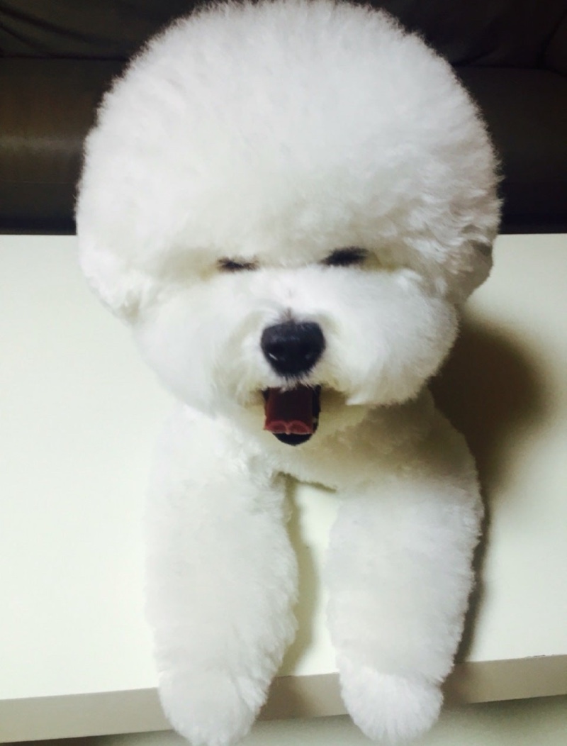 윙크 