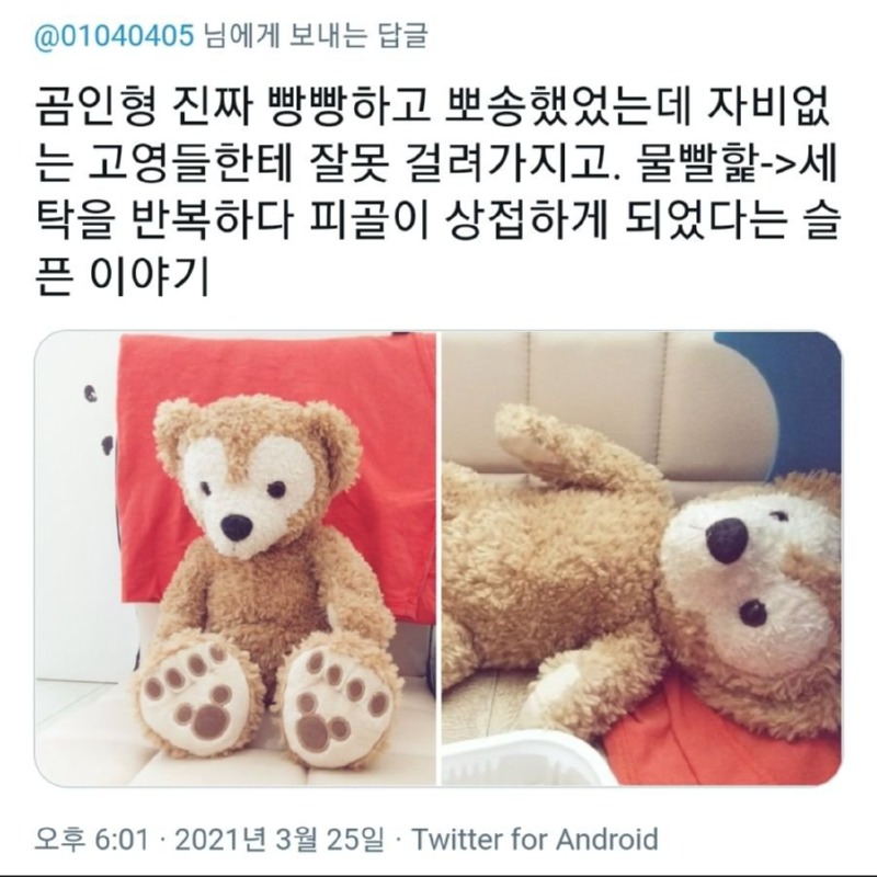 고양이에게 하드하게 그루밍 당한 곰인형 