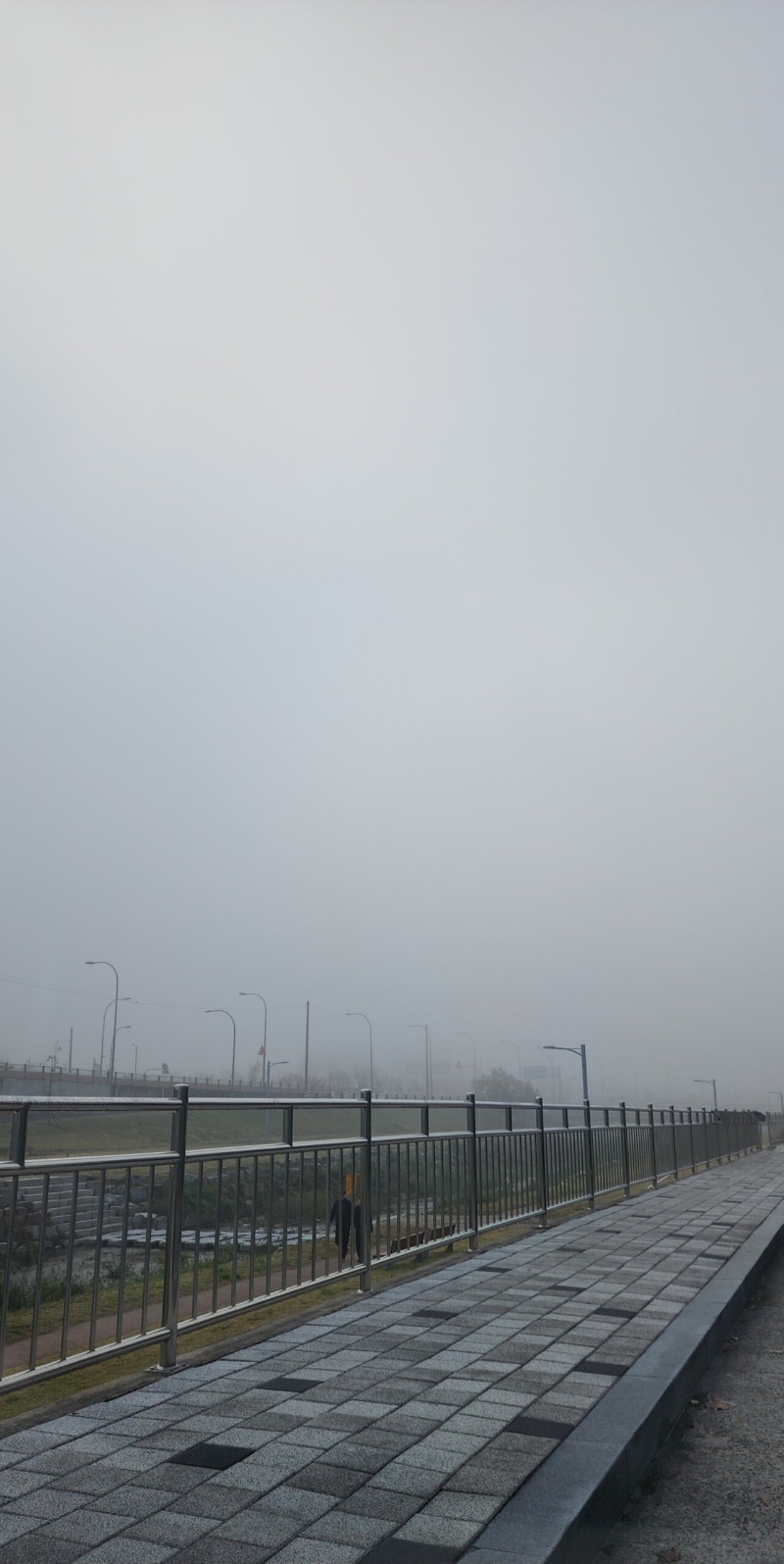 출근길 안개 상황 