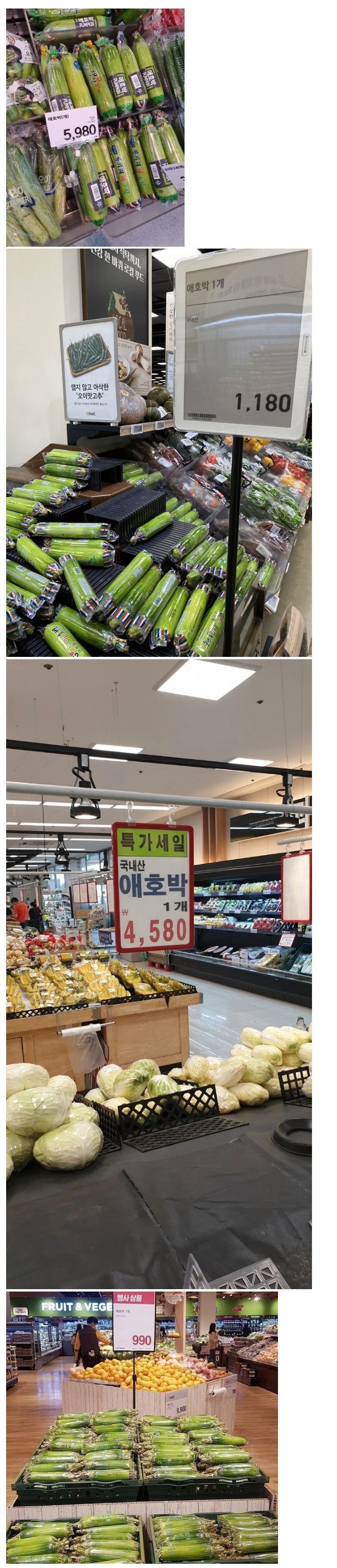 채소계의 비트코인 