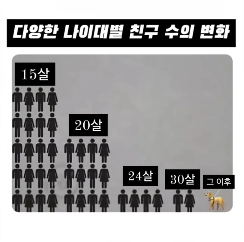 연령대 별 친구의 수 