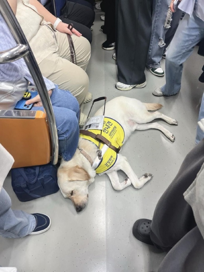 만원 지하철이 훈훈해진 이유