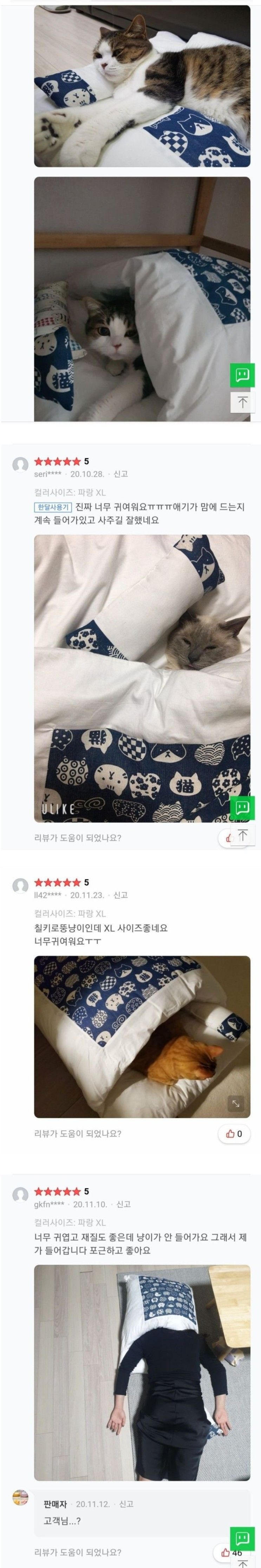 고양이 이불 구매 후기 