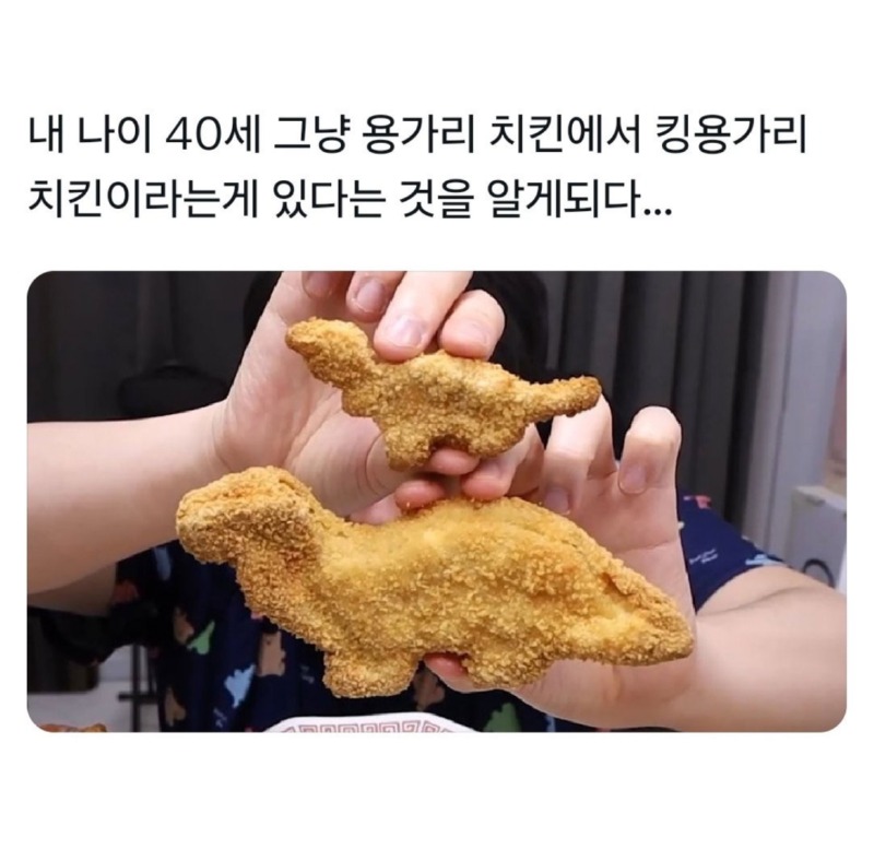 내 나이 40, 킹 용가리의 존재를 알게 되었다. 