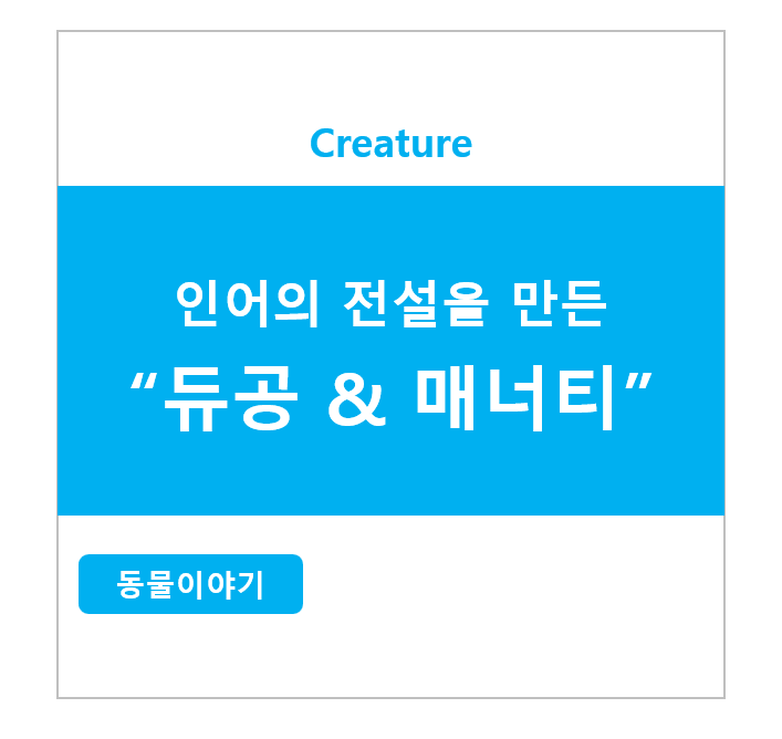 인어의 전설을 만든 듀공 & 매너티