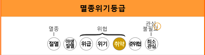인어의 전설을 만든 듀공 & 매너티