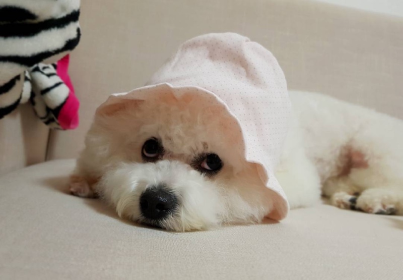 육아는 힘들어 😝