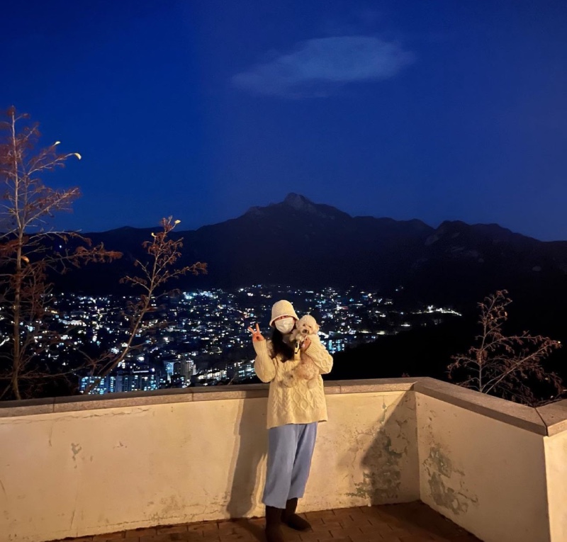 북악스카이웨이 애견동반 