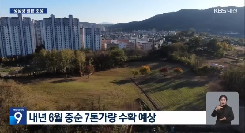 성심당광역시의 군량미 확보 