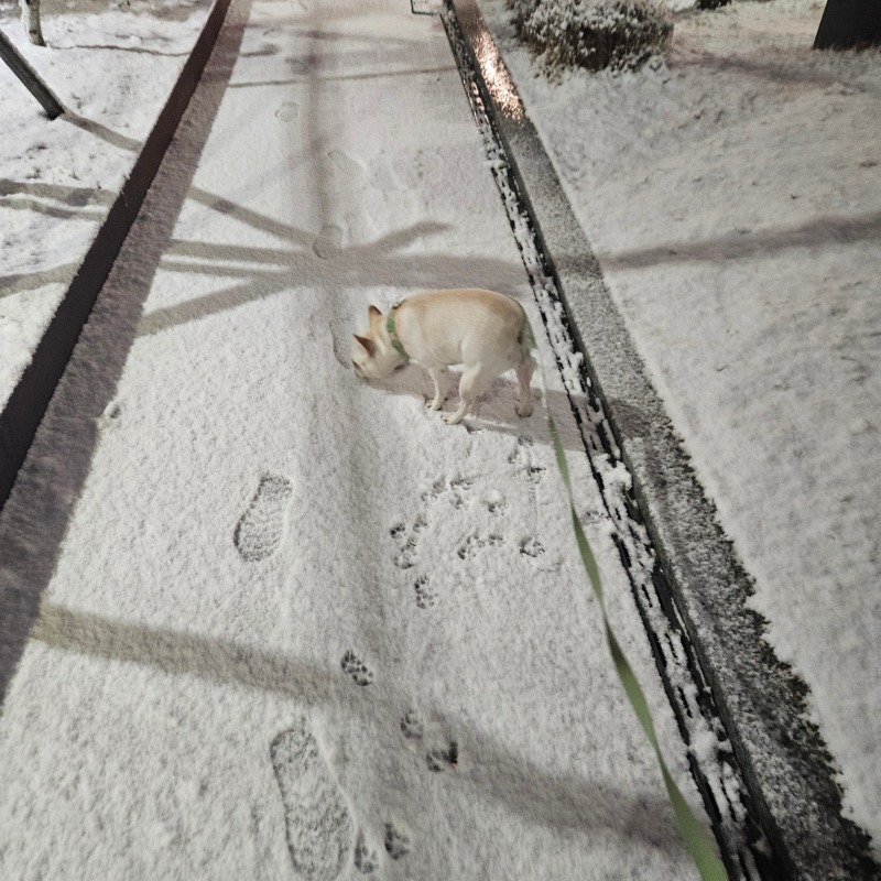 성촌공원 산책로