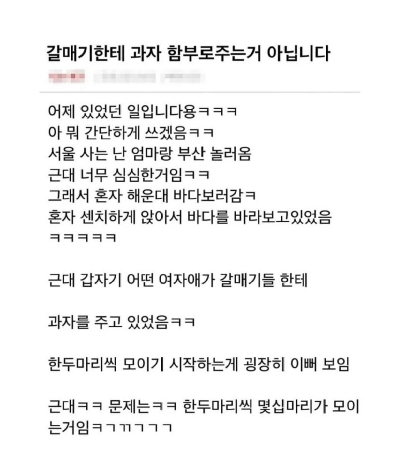갈매기한테 함부러 과자주면 안되는 이유