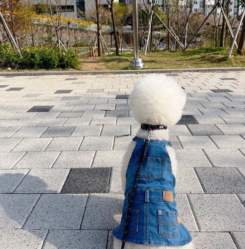 데님은 사랑 💙