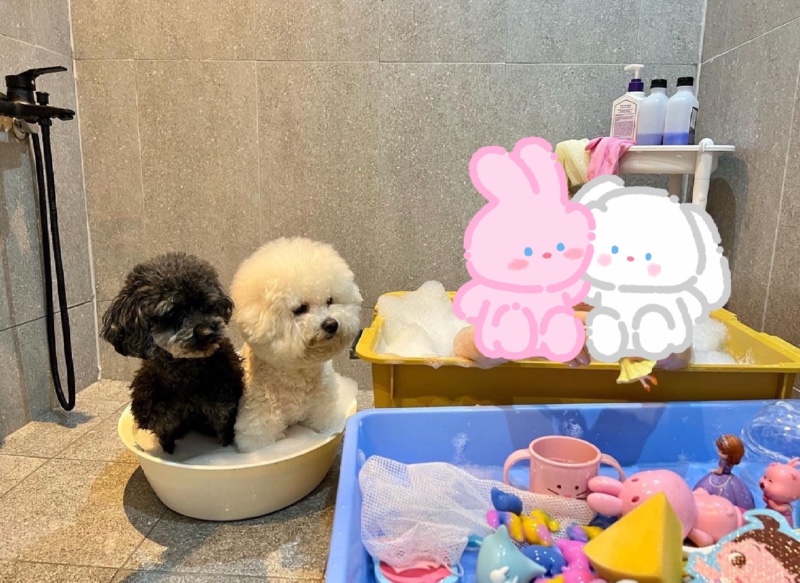 좀 좁지만 🤔