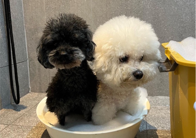 좀 좁지만 🤔