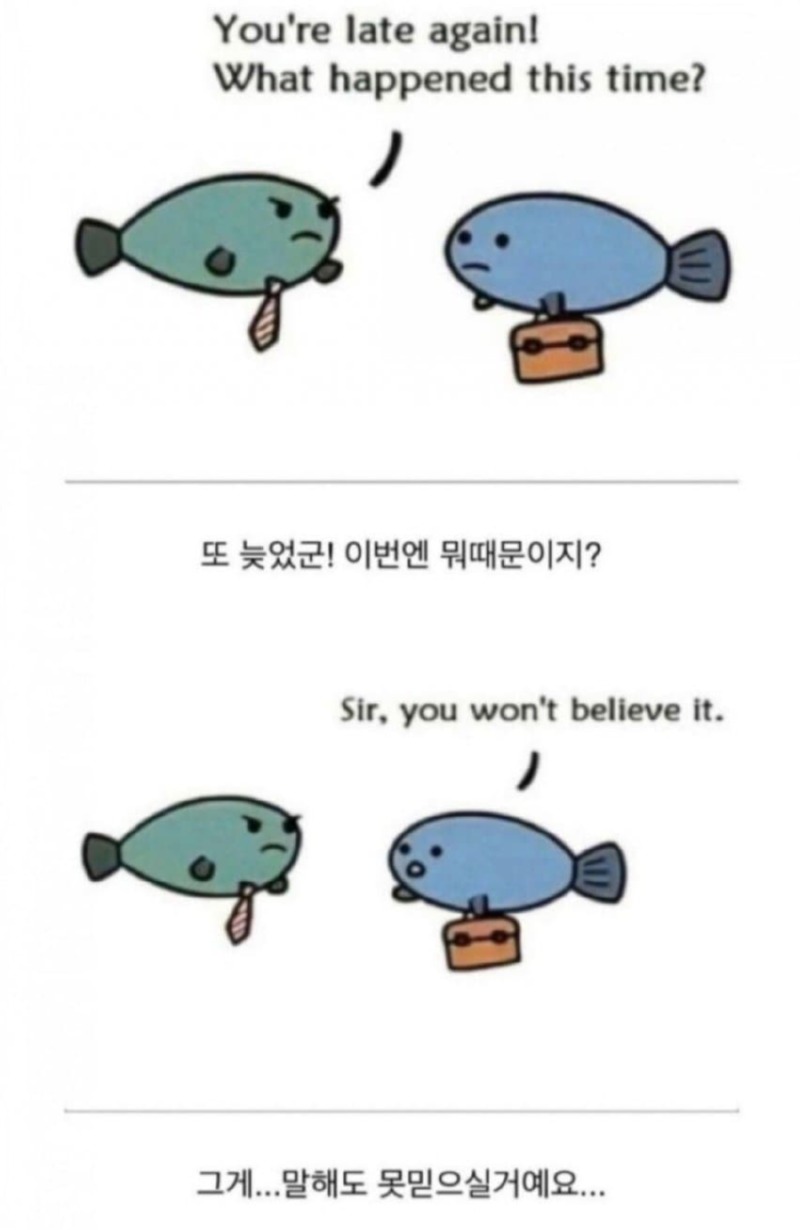 물고기가 오늘 지각한 이유 