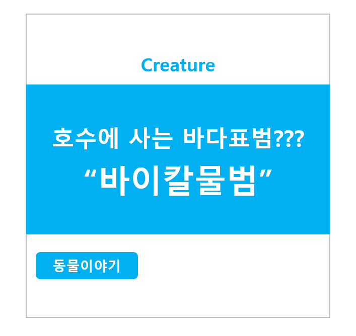 호수에 사는 바다표범??? 바이칼물범