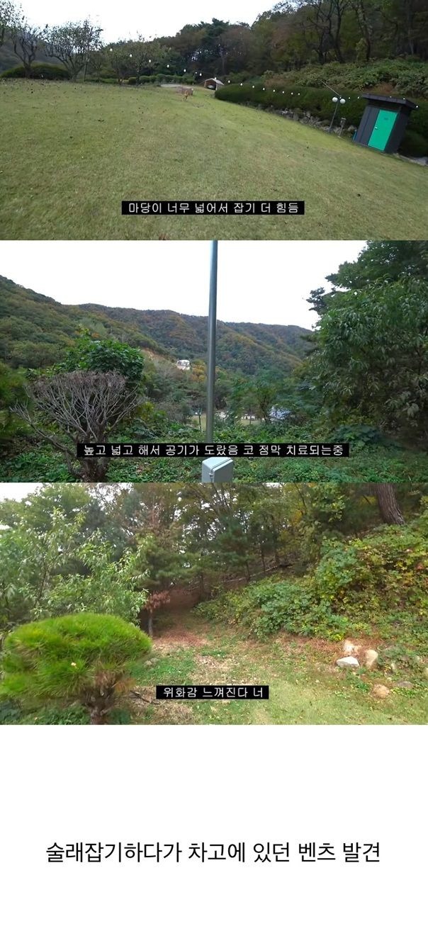 갑자기 유튜버 집에 들어온 떠돌이개가 알고보니 부잣집 도련님