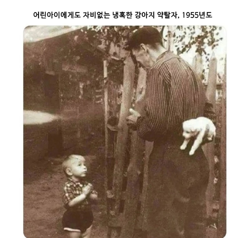 제목의 중요성