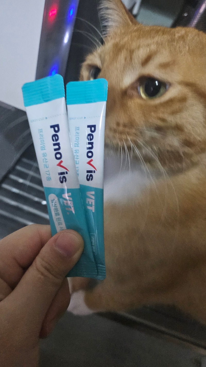나나에용