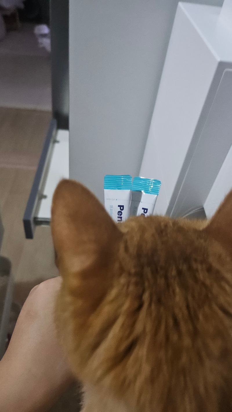 나나에용