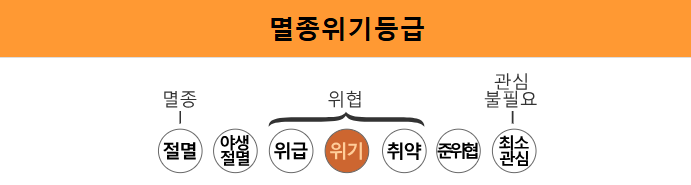 아프리카 전설의 동물 오카피