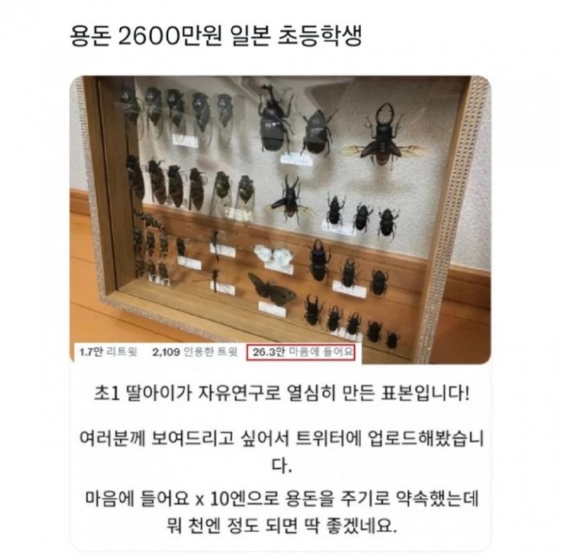용돈이 2600만원인 일본 초등학생
