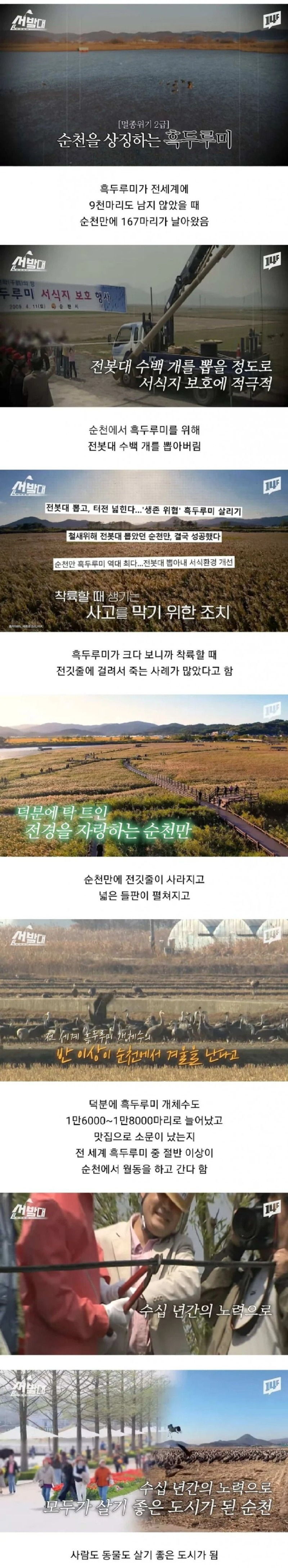 순천시가 수백개의 전봇대를 뽑아버린 이유 
