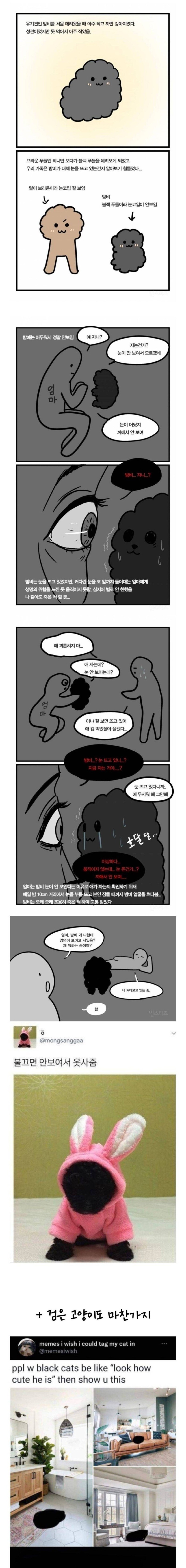 까만 강아지의 최대 단점 