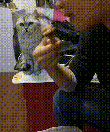 주인아 맛있냐 나도 한입 줘봐 
