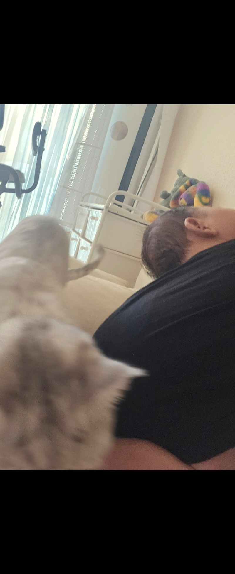 동생꺼 탐내지므