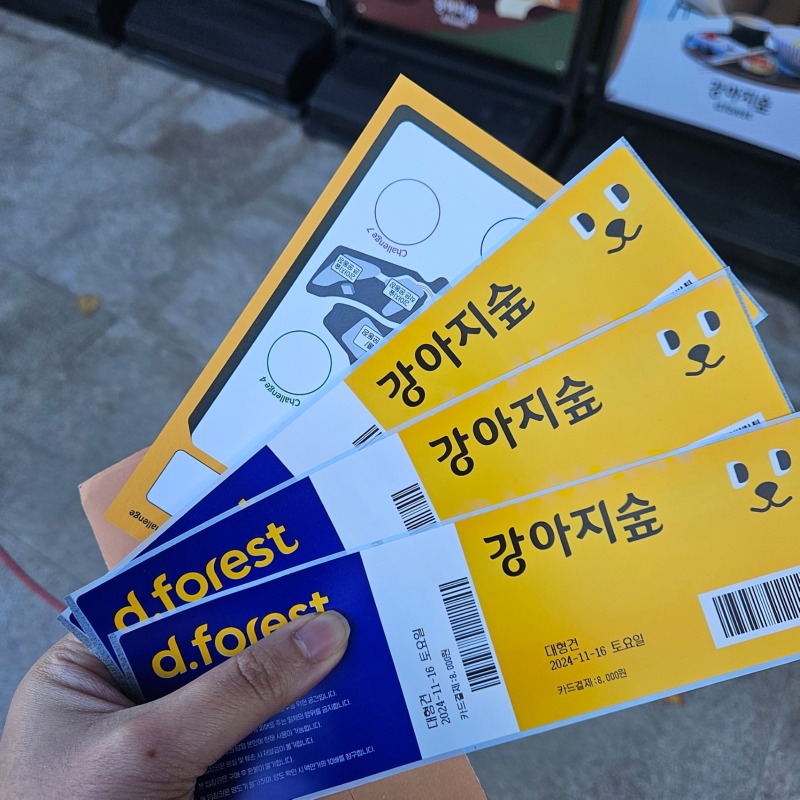 춘천 강아지숲 애견카페 
