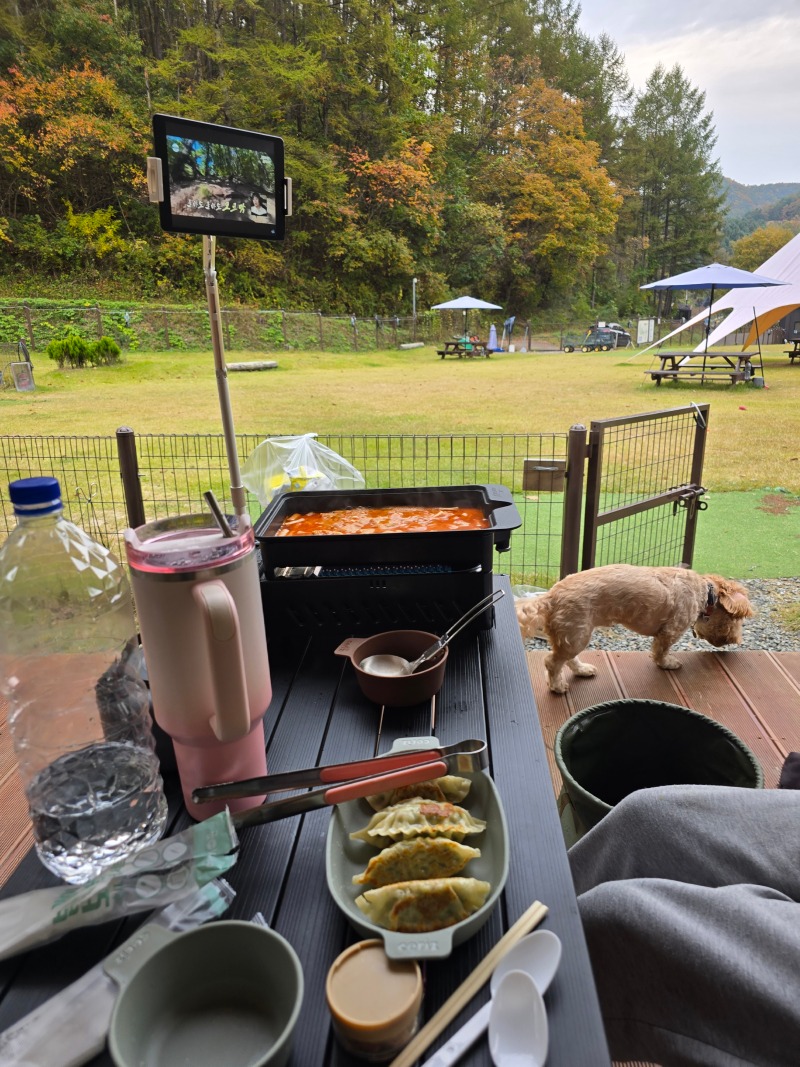 캠핑중dog, 애견캠핑장 최고봉