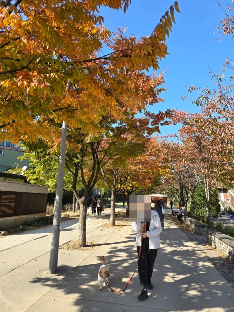 경의선 숲길, 산책하기좋은 서울시내 산책길