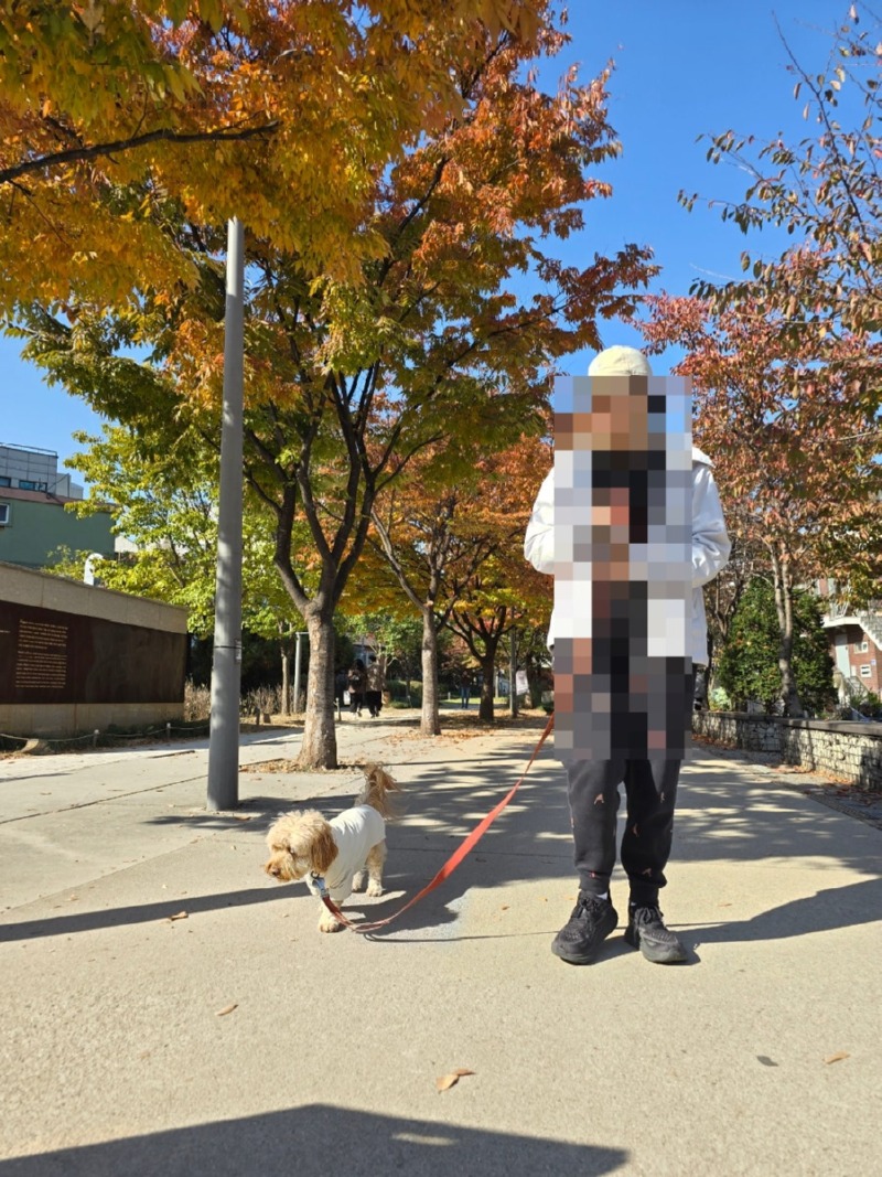 경의선 숲길, 산책하기좋은 서울시내 산책길