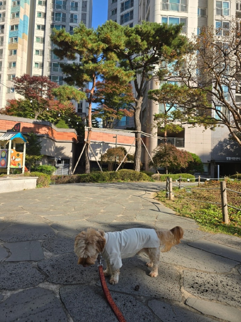 경의선 숲길, 산책하기좋은 서울시내 산책길