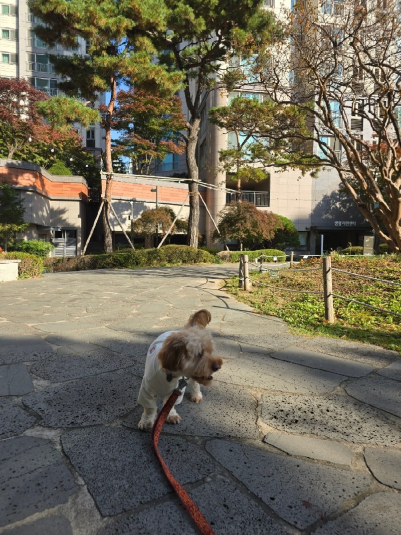 경의선 숲길, 산책하기좋은 서울시내 산책길