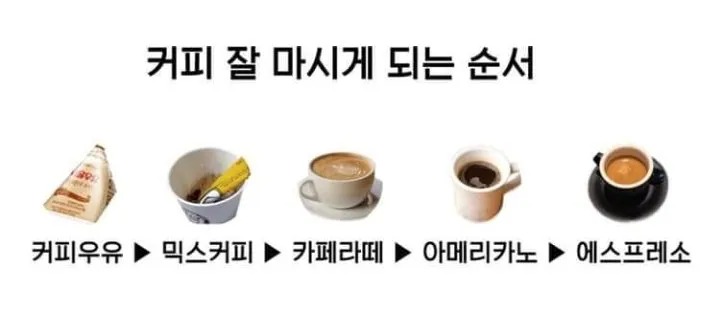 커피 잘 마시게 된 순서
