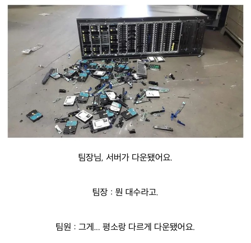 서버 관리 담당자가 보면 혼절하는 사진